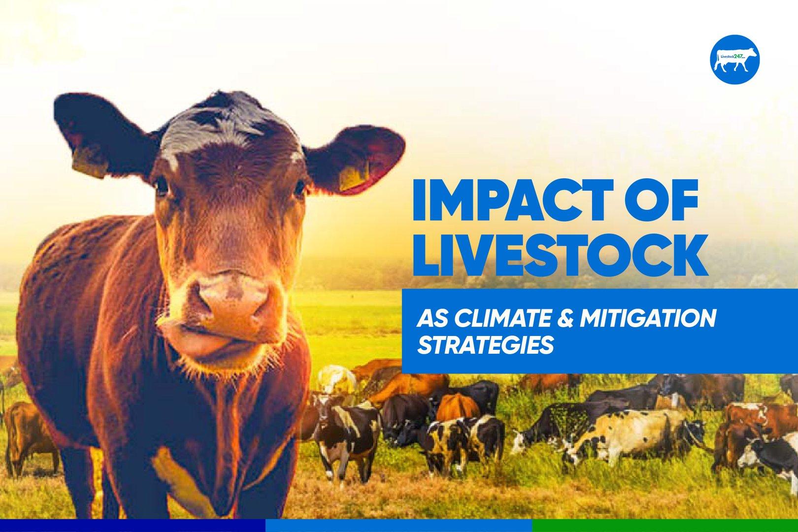 Impact of Livestock as Climate and Mitigation Strategies  - Cover Image